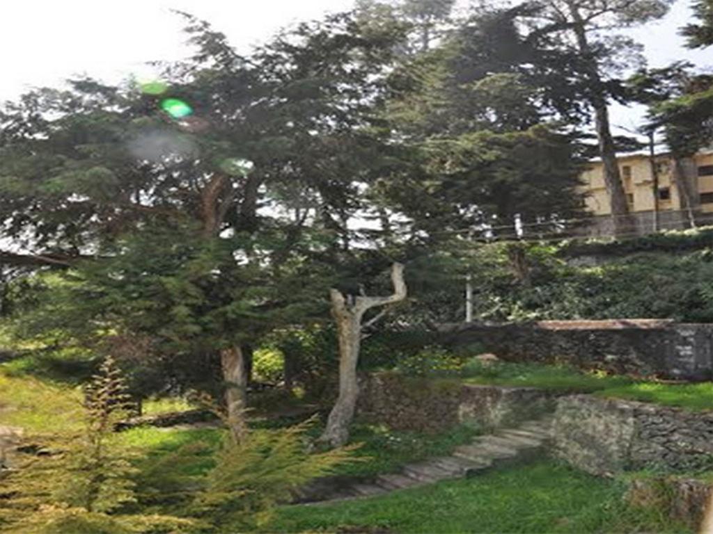 Hill Heaven Home Stay Кодайканал Екстериор снимка